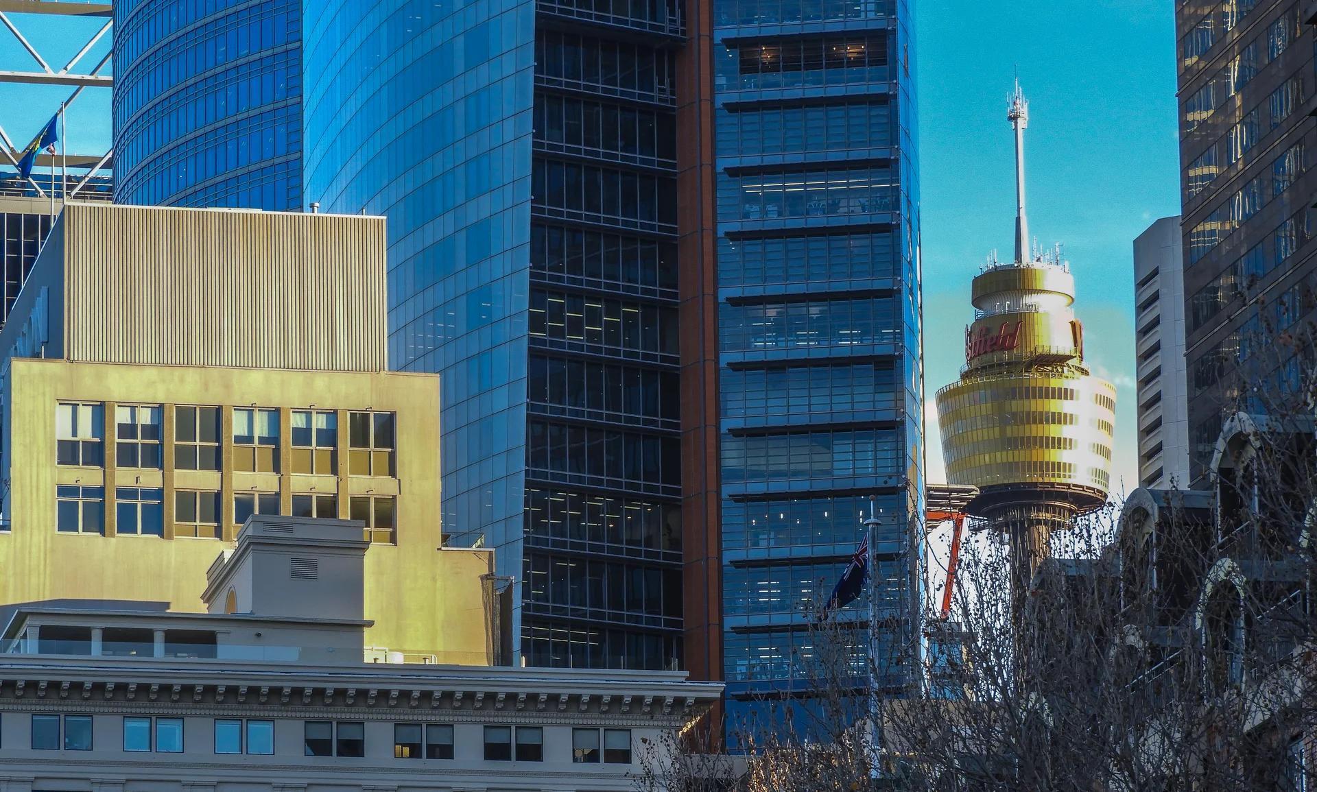 Photography Portfolio - Image 37